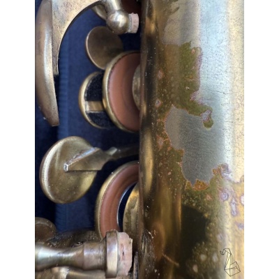 saxophone_alto_marvi_77485_0022_397023865